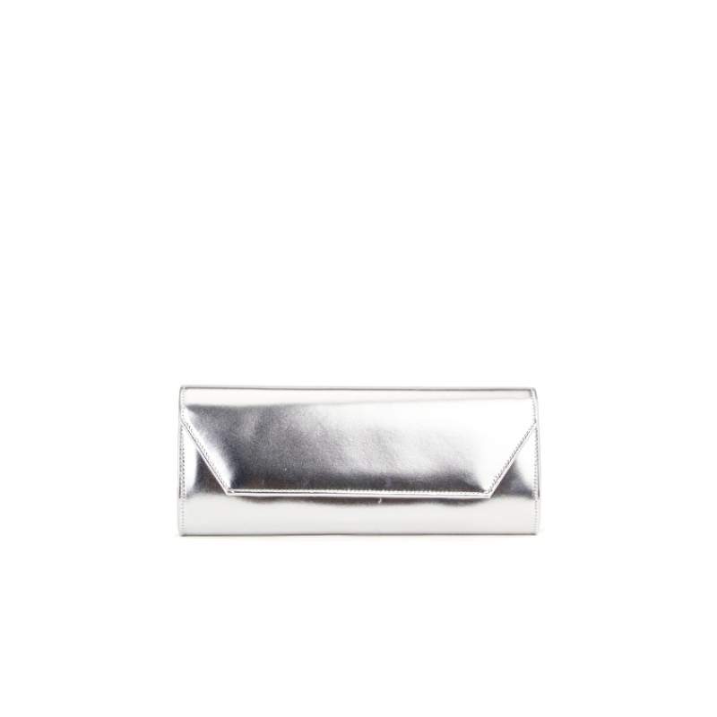 Silver Women's Clutch