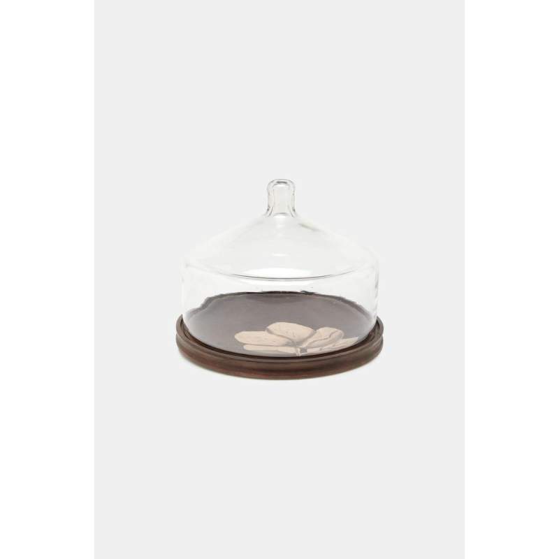 Vakko GLASS LID PRESENTATION STAND