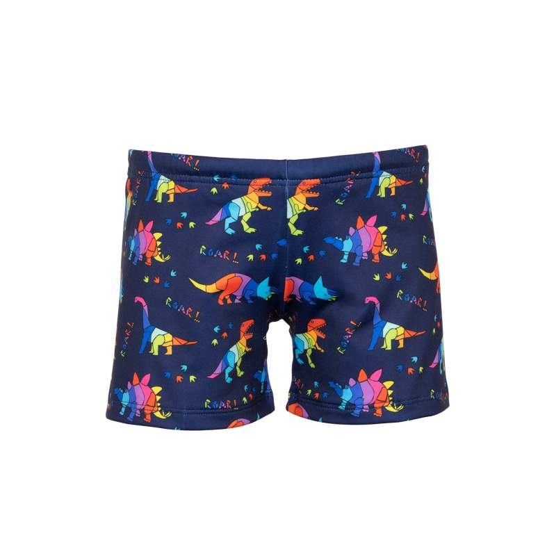Colors Dinosaur Patterned Kids Shorts Swimsuit