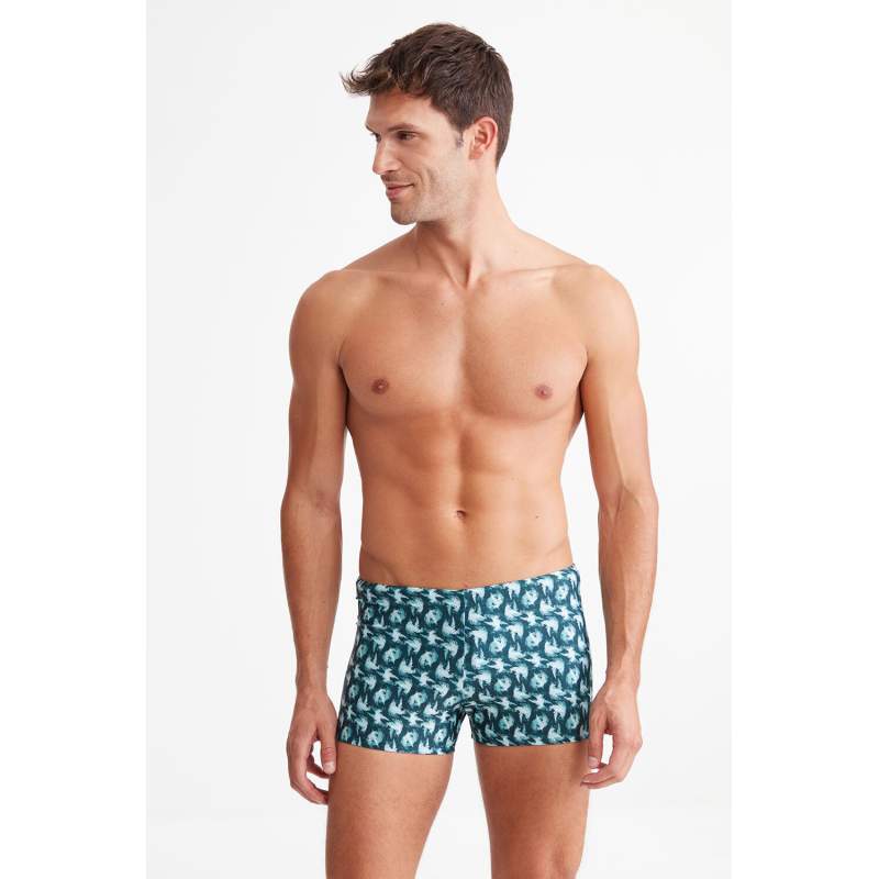 Birdy Swallowç Pattern Lyc Shorts Swimwear