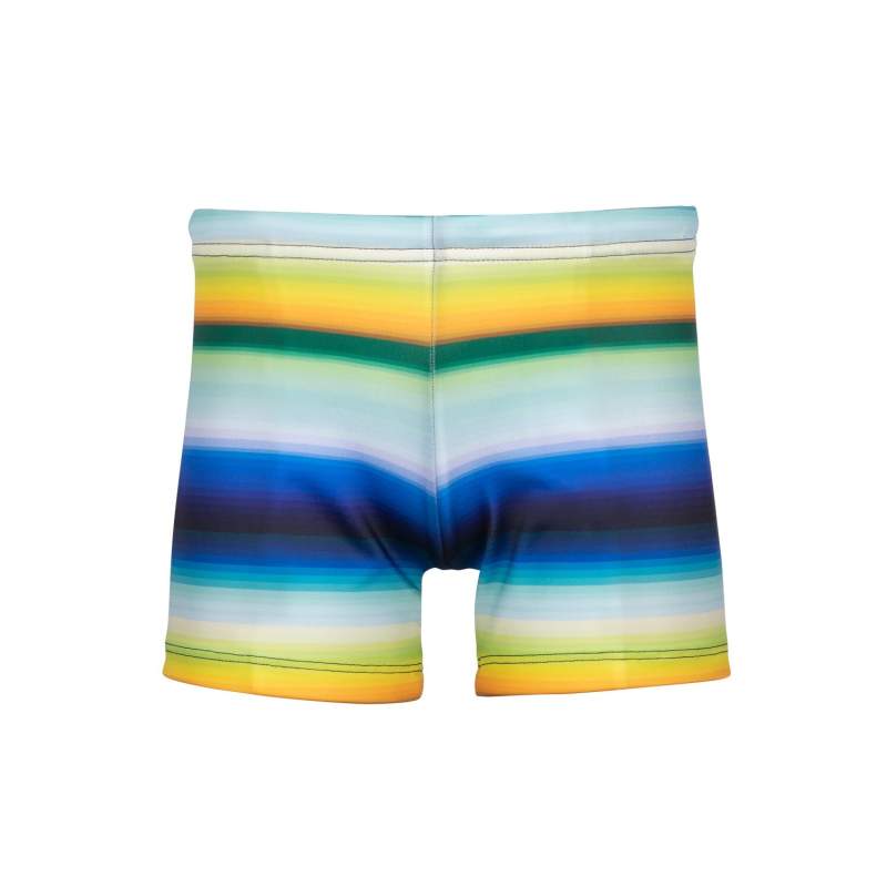 Arizona Boys Striped Shorts Swimwear