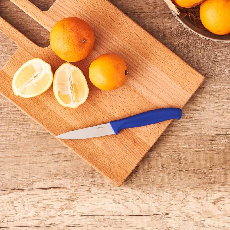 Dr. Inox Paring Knife Blue Small Dr. Inox Paring Knife Blue Small