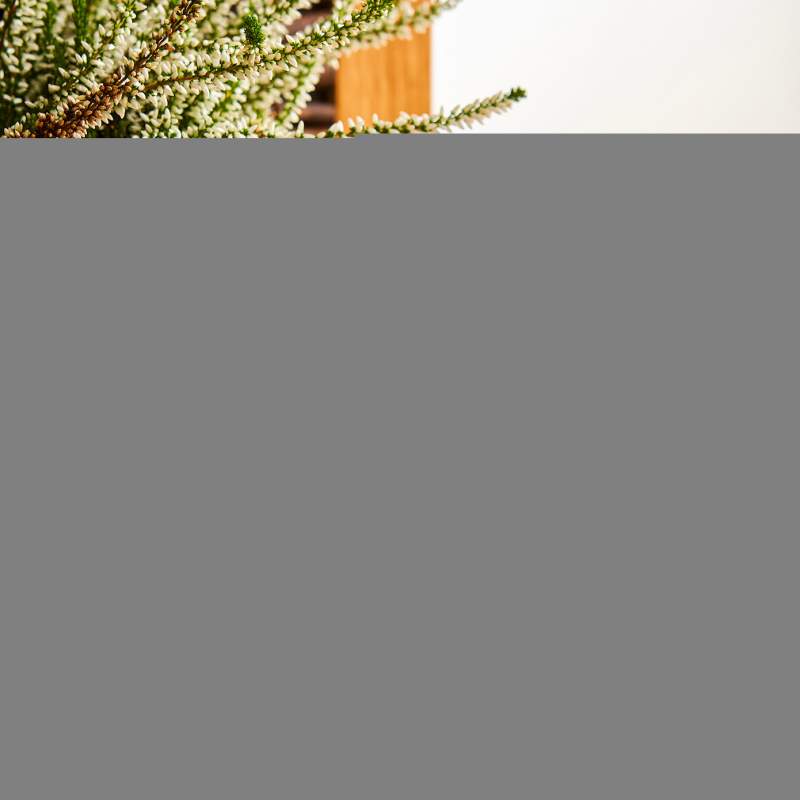 Emsan Yeniköy Set of 6 Coffee Cups 90 ml