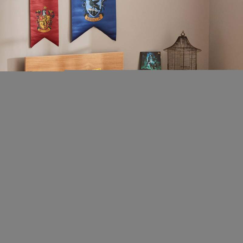 Harry Potter by Karaca Home Draco Double Duvet Cover Set