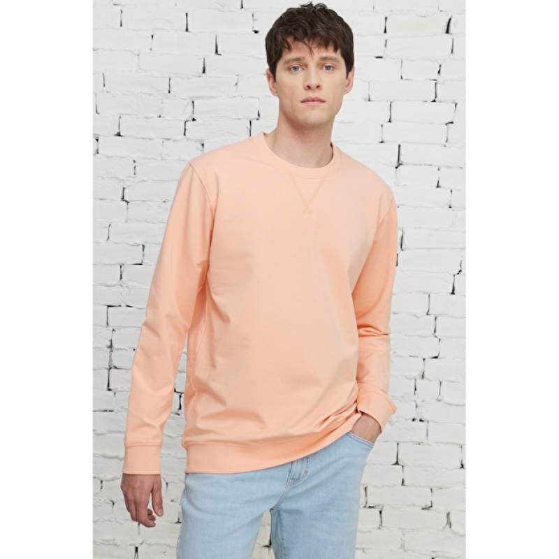 Standard Fit Regular Cut Crew Neck Sweatshirt
